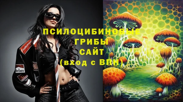 трава Абаза