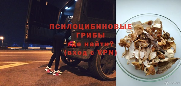 трава Абаза